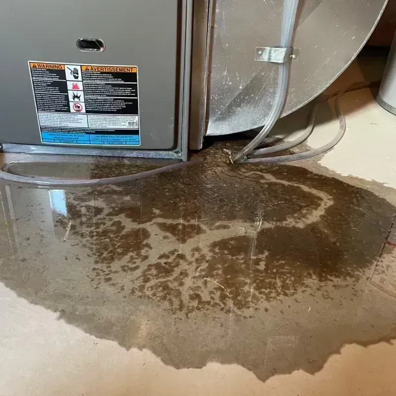 Appliance Leak Cleanup in Wright County, MO